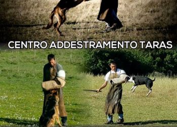 16-17 novembre: Stage di utilità e difesa sportiva al Centro Addestramento Taras