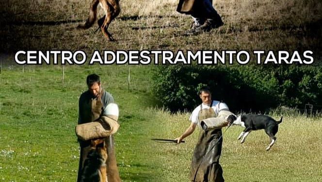 16-17 novembre: Stage di utilità e difesa sportiva al Centro Addestramento Taras