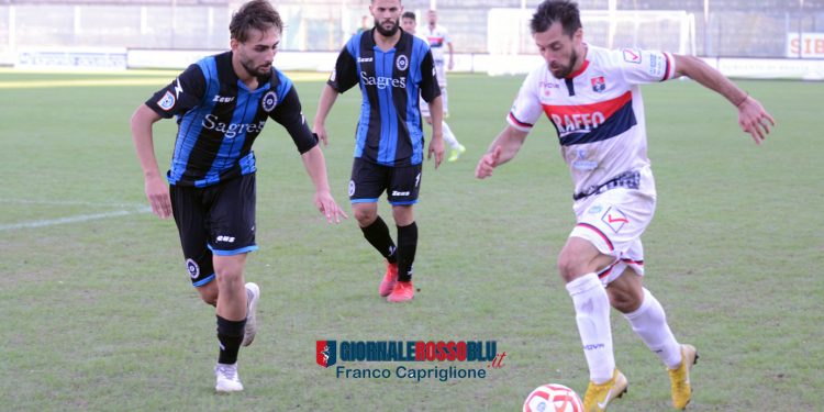 Sondaggi, i nostri lettori credono ancora in Guaita