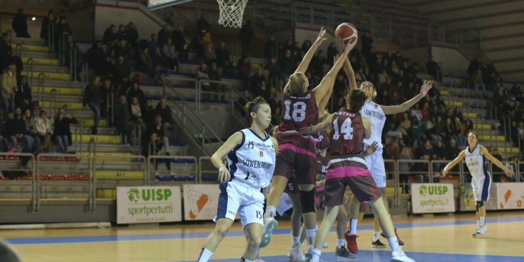 AdMaiora Lowengrube, prestazione imperiosa: stacca Salerno e si issa al quinto posto