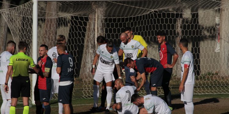 Giudice Sportivo, un turno a Pepe del Bitonto