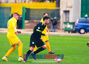 Lavello-Cerignola 0-0, la fotogallery