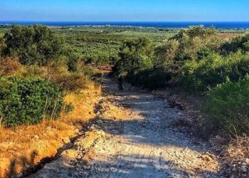 Bicinpuglia XC parte da Avetrana