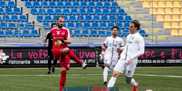 Cerignola-Molfetta 4-4, la fotogallery