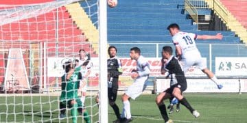 Taranto-Molfetta 3-1, la fotogallery