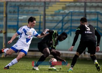 Brindisi-Team Altamura 0-0, la fotogallery