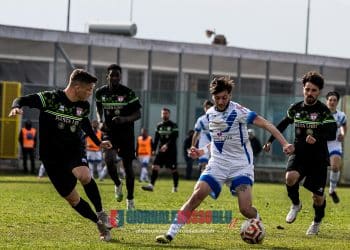 Brindisi-Team Altamura 0-0, la fotogallery