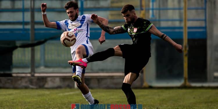 Brindisi-Team Altamura 0-0, la fotogallery