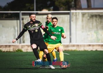 Lavello-Team Altamura 1-1, la fotogallery