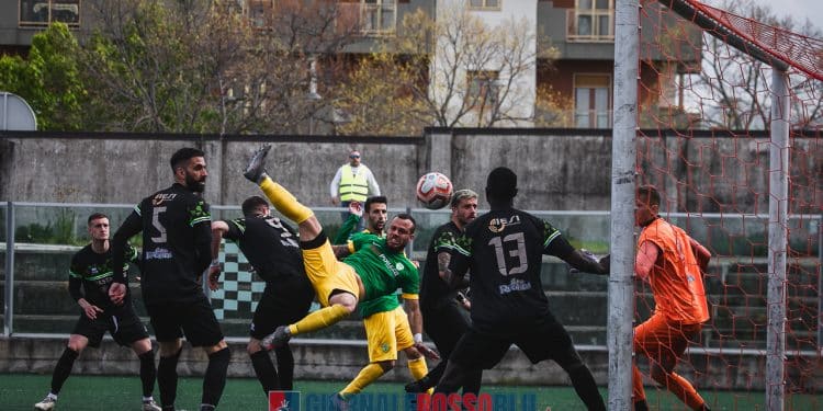 Lavello-Team Altamura 1-1, la fotogallery