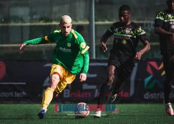 Lavello-Team Altamura 1-1, la fotogallery