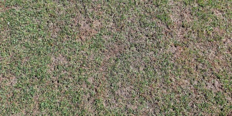 Taranto, sopralluogo della nostra redazione presso lo stadio Iacovone