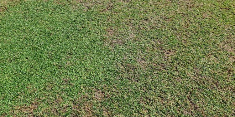 Taranto, sopralluogo della nostra redazione presso lo stadio Iacovone
