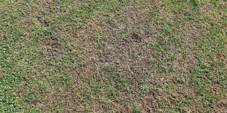 Taranto, sopralluogo della nostra redazione presso lo stadio Iacovone