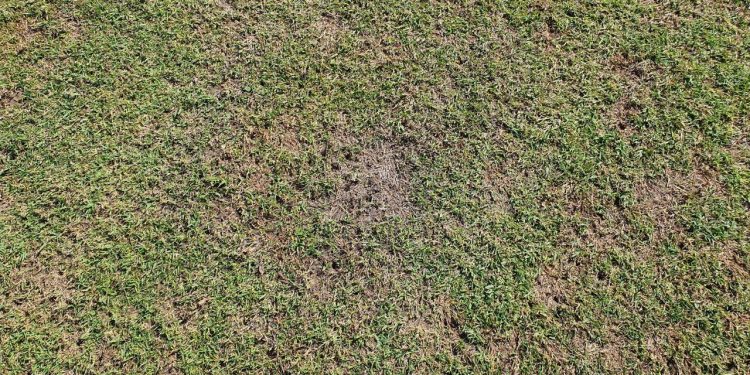 Taranto, sopralluogo della nostra redazione presso lo stadio Iacovone