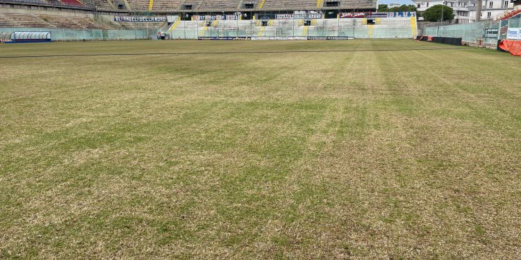 Sopralluogo dell’assessore Giorno allo stadio “Erasmo Iacovone” per il controllo della semina stagionale in corso