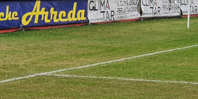 Taranto, Iacovone: manto erboso tra colombi e risemina