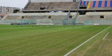 Taranto, Iacovone: manto erboso tra colombi e risemina