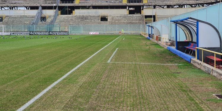 Taranto, Iacovone: manto erboso tra colombi e risemina
