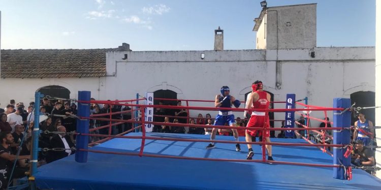 Con il Trofeo Masseria Ruina spazio ai giovanissimi della boxe