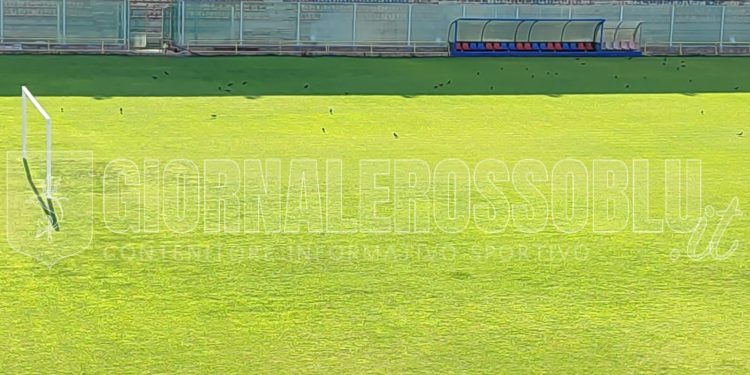 Stadio Iacovone, le condizioni attuali del manto erboso