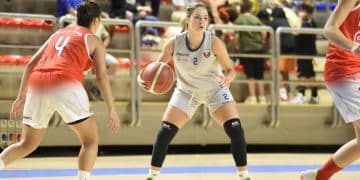 Dinamo Nuovi Orizzonti, passa la Pink Bari in Coppa nonostante una prova generosa