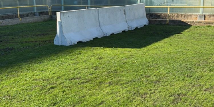 Entrano nel vivo gli interventi di demolizione parziale dello stadio Iacovone