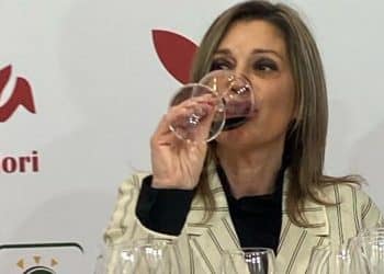 Blocco delle nuove iscrizioni allo Schedario Viticolo per il Primitivo di Manduria