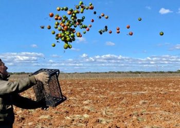 Dazi: conto salato per le province italiane