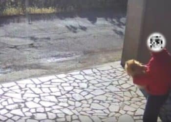 Ruba un cane da un giardino privato: denunciato un 59enne a Manduria