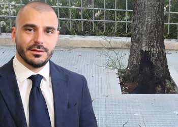 Martina Franca, aiuole cementificate in Zona Pergolo: “Così si soffocano gli alberi”