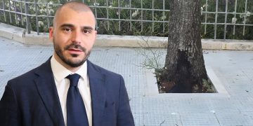 Martina Franca, aiuole cementificate in Zona Pergolo: “Così si soffocano gli alberi”