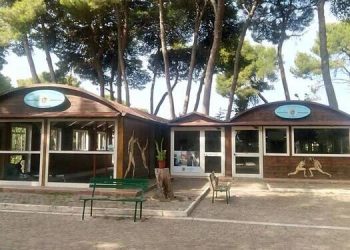 Torna “W Cimino”: il 25 maggio la nona edizione della grande festa dello sport al Parco Cimino