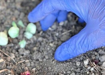 Spacciava droga vicino ai bambini mentre era in bicicletta: arrestato 36enne a Talsano