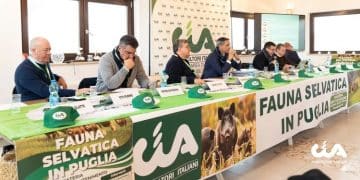 Puglia, via libera alla vendita della carne di cinghiale: “Svolta epocale per agricoltori e turismo”