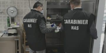 NAS Taranto, blitz nei locali della provincia: sospensioni, sequestri e maxi multe per irregolarità igieniche e sanitarie