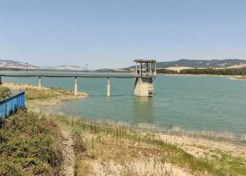 Gestione dell’acqua della Diga di San Giuliano: il lupo perde il pelo ma non il vizio!