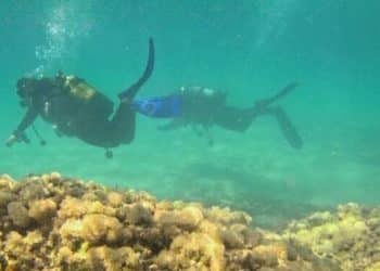 2HANDS e Lega Navale Italiana di Taranto insieme per la pulizia dei fondali marini