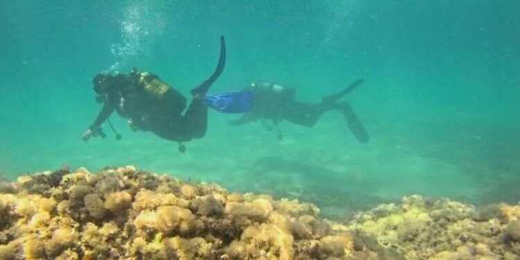 2HANDS e Lega Navale Italiana di Taranto insieme per la pulizia dei fondali marini