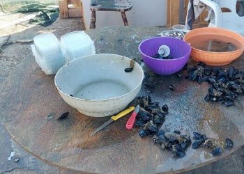 Sorpreso a confezionare vaschette di cozze in piazzale Democrate