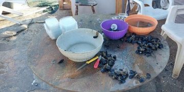 Sorpreso a confezionare vaschette di cozze in piazzale Democrate