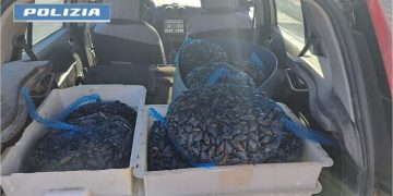 Sorpreso con 150 kg di cozze in auto: 49enne denunciato dalla Polizia di Stato