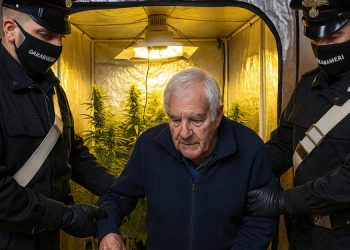 Serra artigianale di marijuana in casa: arrestato 68enne
