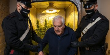 Serra artigianale di marijuana in casa: arrestato 68enne