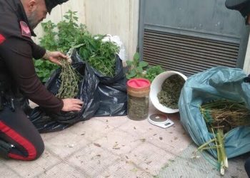 Taranto, sequestrati 7 chili di marijuana sulla litoranea salentina: arrestato un 51enne