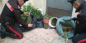 Taranto, sequestrati 7 chili di marijuana sulla litoranea salentina: arrestato un 51enne