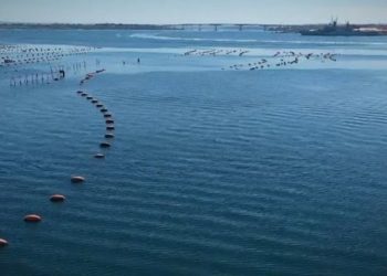 Taranto 2026, per il vento slitta l’avvio del cantiere in Mar Piccolo
