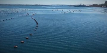 Taranto 2026, per il vento slitta l’avvio del cantiere in Mar Piccolo