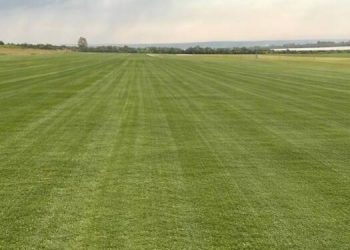 Stadio Iacovone, verifiche sul prato: lavori in linea con il cronoprogramma
