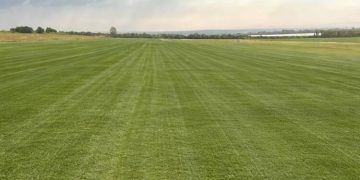 Stadio Iacovone, verifiche sul prato: lavori in linea con il cronoprogramma